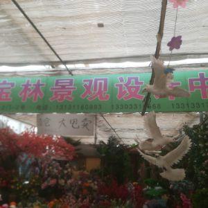 長安區(qū)肖家營聚寶林景觀設計中心